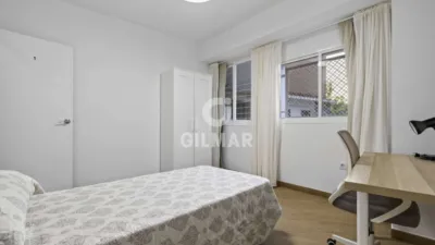 Apartment in El Porvenir photo 16