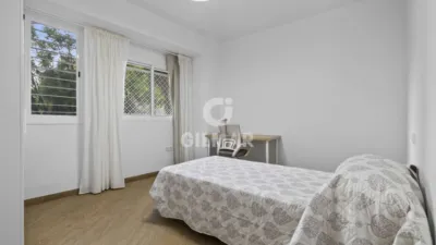 Apartment in El Porvenir photo 15