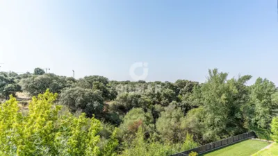 Chalet in El Pinar-Punta Galea photo 35