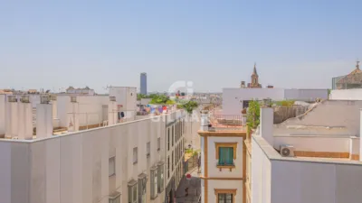 Apartment in Seville Centre photo 30