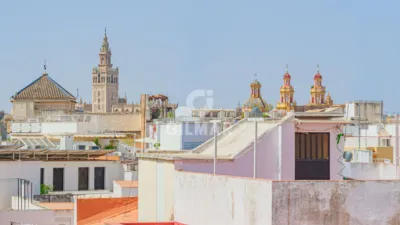 Apartment in Seville Centre photo 19