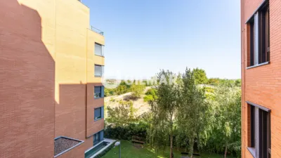 Apartment in Montecarmelo photo 17