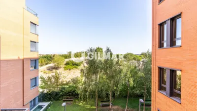 Apartment in Montecarmelo photo 21