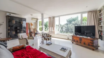 Chalet in La Moraleja photo 14