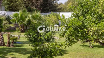 Chalet in Cortijo Reinoso photo 48