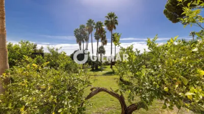 Chalet in Cortijo Reinoso photo 3