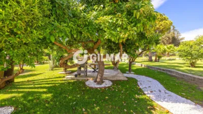 Chalet in Cortijo Reinoso photo 70