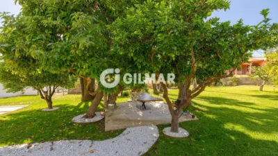 Chalet in Cortijo Reinoso photo 57