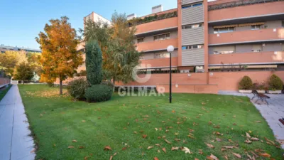 Apartment in Alameda de Osuna photo 29