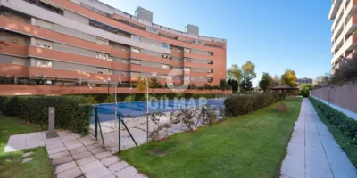 Apartment in Alameda de Osuna photo 30