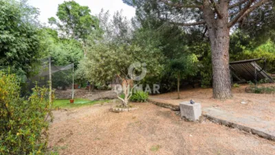 Chalet in Collado Villalba photo 55