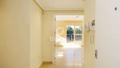 Duplex Penthouse in New Golden Mile photo 10