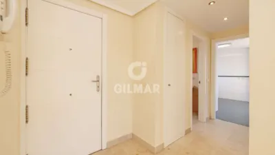 Duplex Penthouse in New Golden Mile photo 11