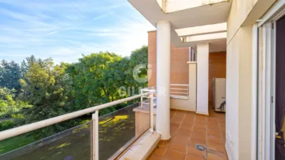 Duplex Penthouse in New Golden Mile photo 33