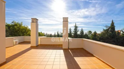 Duplex Penthouse in New Golden Mile photo 44