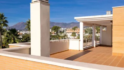 Duplex Penthouse in New Golden Mile photo 46