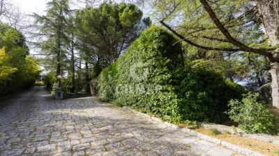 Chalet in Collado Villalba photo 5