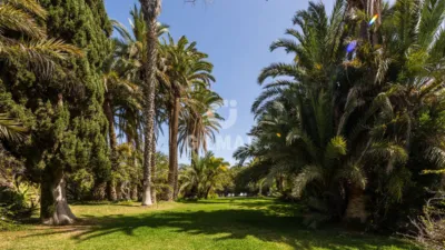 Chalet en venta en Monte León, El Tablero de Maspalomas (San Bartolomé de Tirajana) de 6.900.000 €