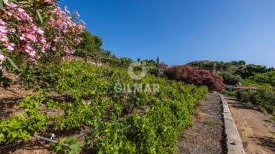 Chalet en venta en Monte León, El Tablero de Maspalomas (San Bartolomé de Tirajana) de 6.900.000 €
