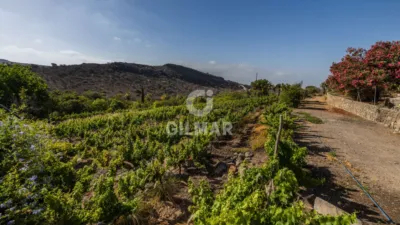Chalet en venta en Monte León, El Tablero de Maspalomas (San Bartolomé de Tirajana) de 6.900.000 €