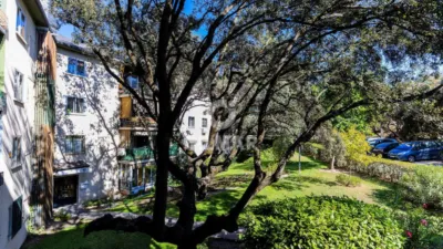 Apartment in Collado Villalba photo 24