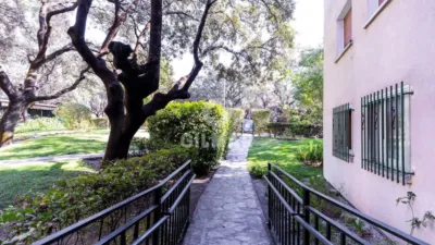 Apartment in Collado Villalba photo 28