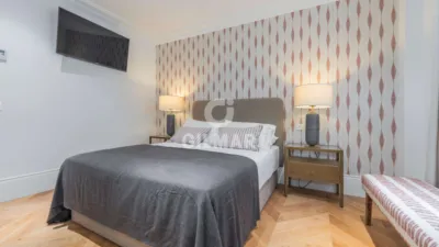Penthouse on Castellana photo 19
