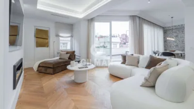 Penthouse on Castellana photo 3
