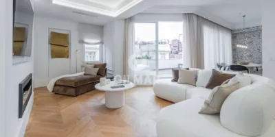 Penthouse on Castellana photo 9