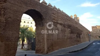 Apartment in Central Seville photo 31