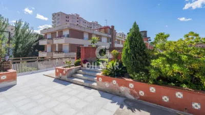 Penthouse in San Pascual photo 4