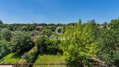 Chalet in Burgo de Las Rozas photo 25