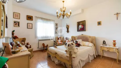 Chalet in Colmenarejo photo 39