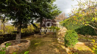 Chalet in Colmenarejo photo 55