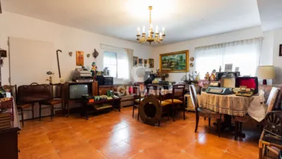 Chalet in Colmenarejo photo 5