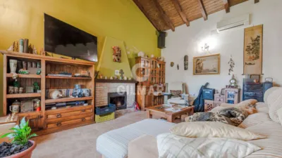 Chalet in Barbate photo 6