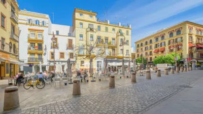 Apartment in Central Seville photo 29