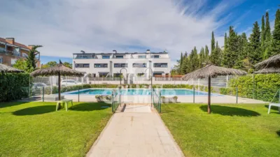 Chalet in Palomas photo 3