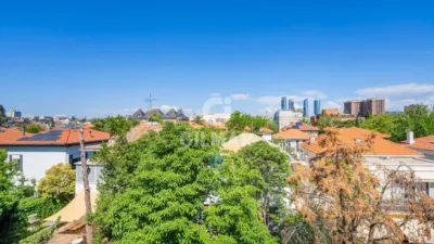 Chalet en venta en Nueva España, El Viso (Distrito Chamartín. Madrid Capital) de 5.300.000 €
