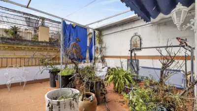 Apartment in Seville Centre photo 27