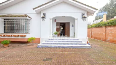 Chalet in La Palmera photo 3