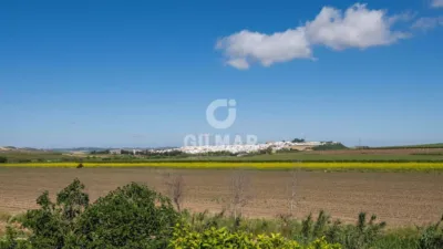 Chalet in Villamartín photo 24