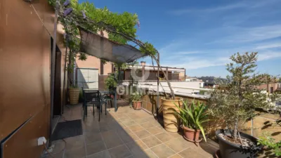 Attic in Los Coronales photo 5