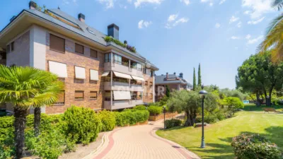 Apartment in Monte del Pilar photo 2