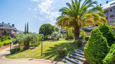 Apartment in Monte del Pilar photo 4