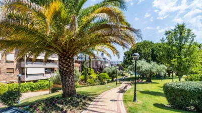 Apartment in Monte del Pilar photo 6