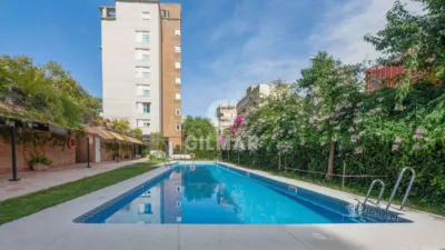 Apartment in Alameda (Seville) photo 41