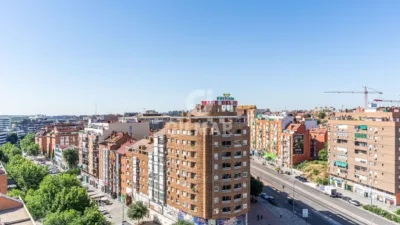 Apartment in Almendrales photo 30