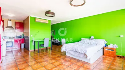 Apartment in Almendrales photo 5