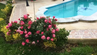 Chalet for sale in Maruri, 3-storey property with 5 bedrooms, kitchen, living room and 4 bathrooms. Garage for 4 cars, txoko, terrace and pool. Includes garden area. The chalet features internal elevator access. Many improvements made. Must be seen. photo 8